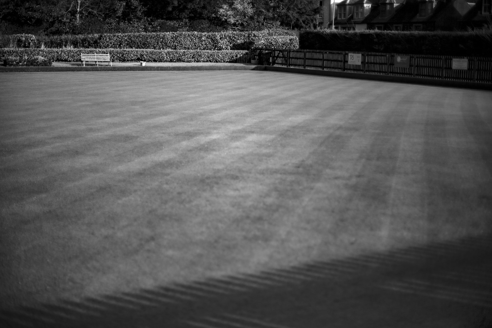 Stripe pattern mowed into a green Bermuda lawn at golden hour.